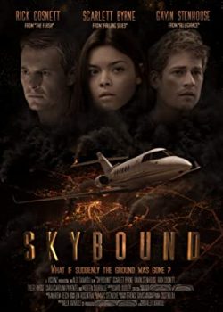 Poster Phim Hạ Cánh An Toàn (Skybound)