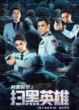 Poster Phim Hắc Tảo Anh Hùng (扫黑英雄)