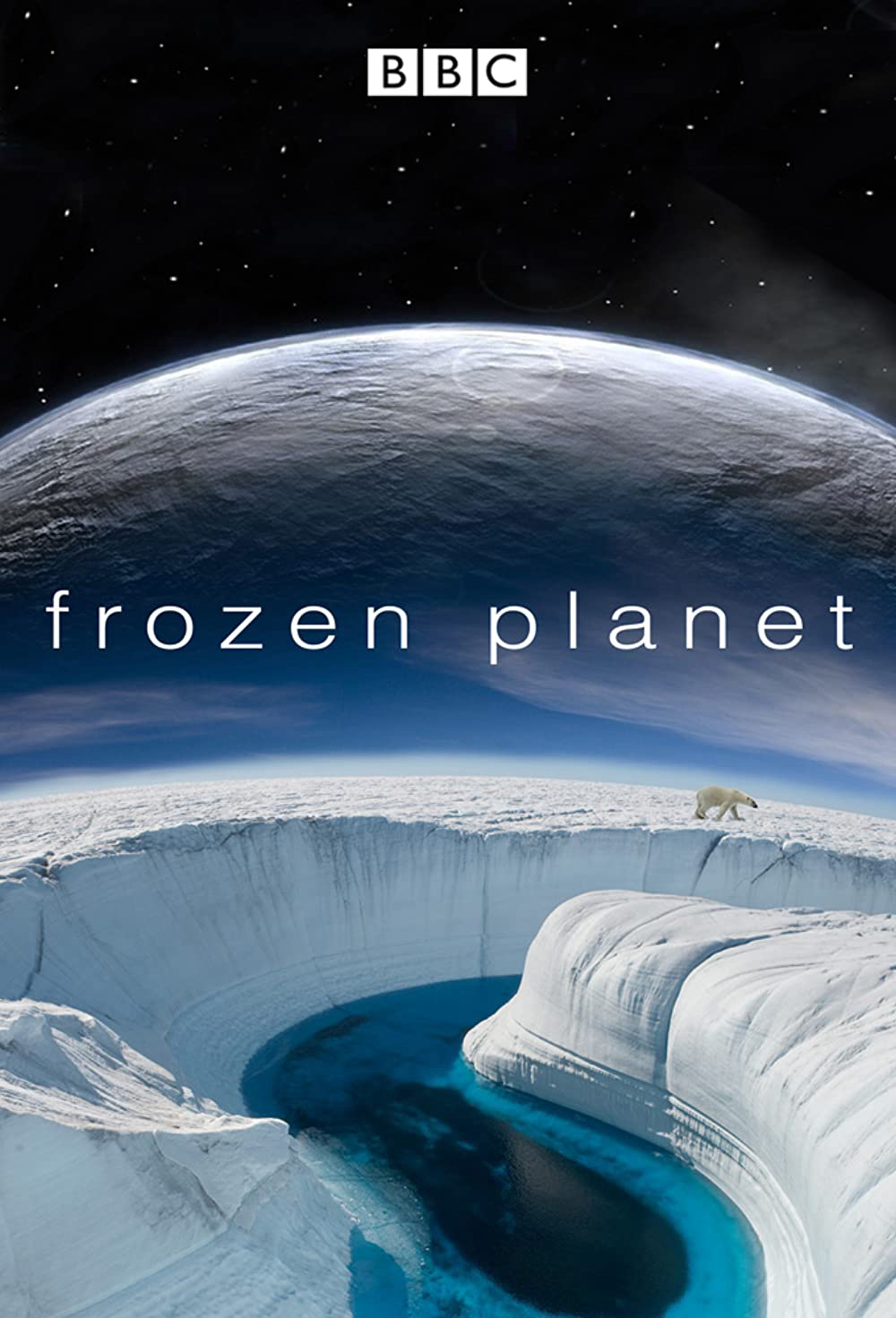 Poster Phim Hành Tinh Băng Giá (Frozen Planet)