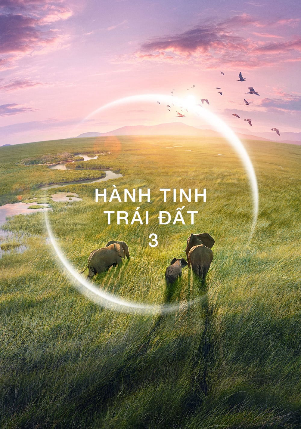 Xem Phim Hành Tinh Trái Đất 3 (Planet Earth III)