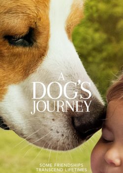 Xem Phim Hành Trình Của Chú Chó (A Dog's Journey)