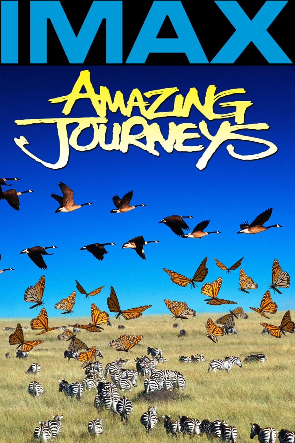 Poster Phim Hành Trình Kinh Ngạc (Amazing Journeys)