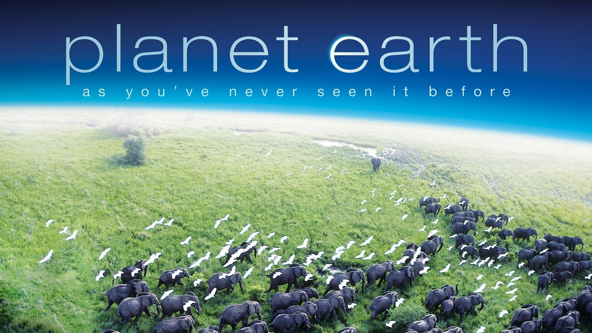 Xem Phim Hành Trình Trái Đất (Planet Earth)