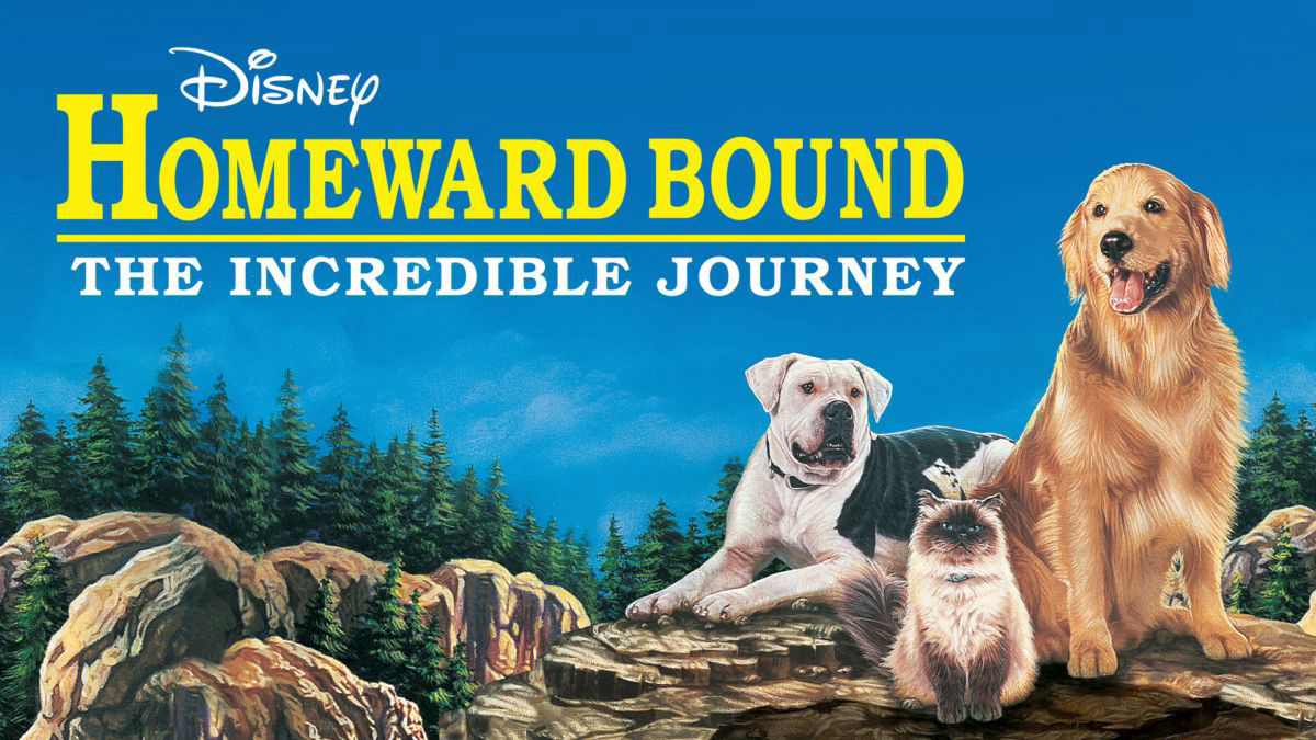 Xem Phim Hành Trình Về Nhà (Boonie Bears: Homeward Journey)