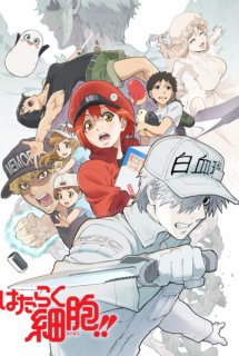 Poster Phim Hataraku Saibou!! (Cells at Work!!, Cells at Work! 2nd Season, Hataraku Saibou 2nd Season)