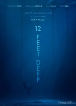 Poster Phim Hồ Bơi Sâu Thẳm (12 Feet Deep / The Deep End)