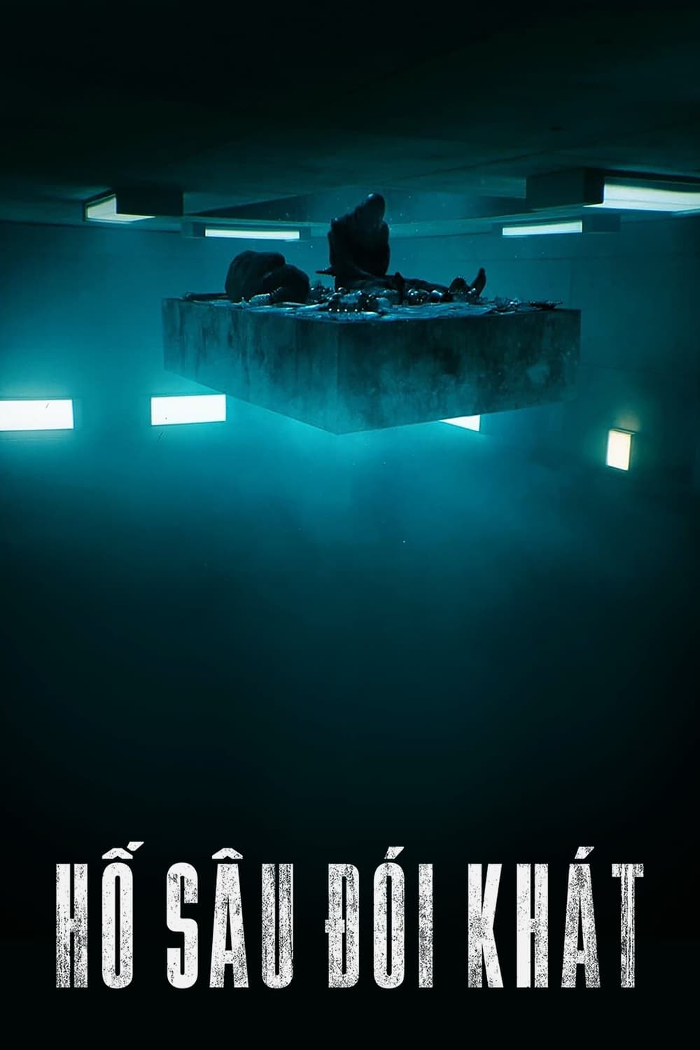 Poster Phim Hố Sâu Đói Khát (The Platform)