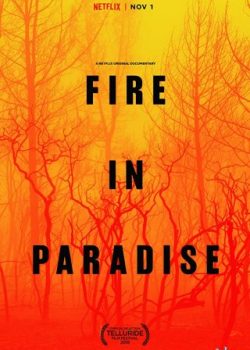 Poster Phim Hỏa Hoạn Tại Paradise (Fire In Paradise)