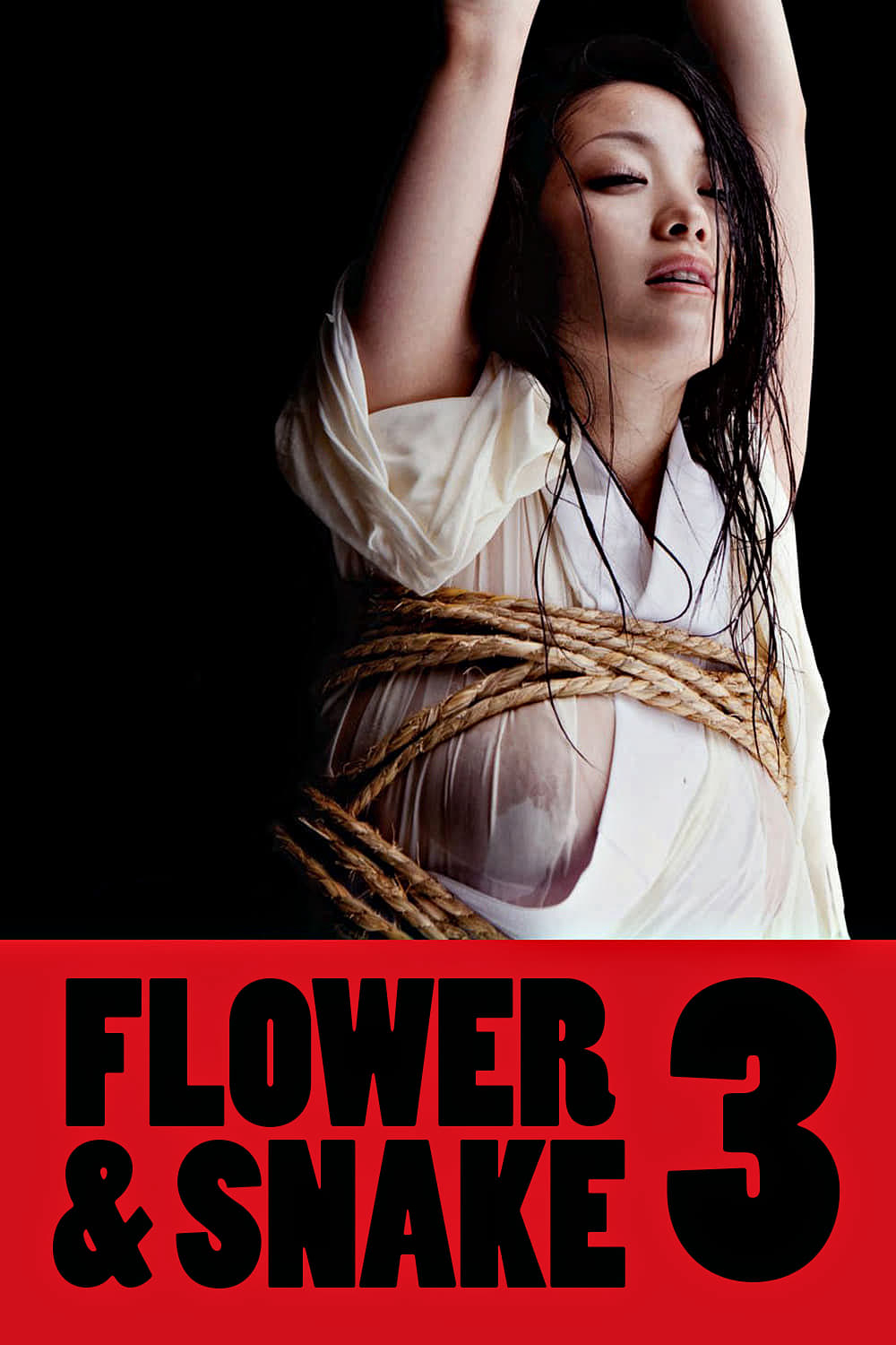 Xem Phim Hoa Và Rắn 3  (Flower &amp; Snake 3)