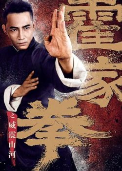 Poster Phim Hoắc Gia Quyền (Shocking Kungfu of Huo's)