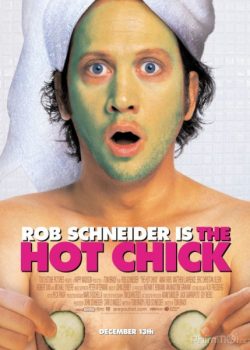 Poster Phim Hoán Đổi Kỳ Diệu (The Hot Chick)