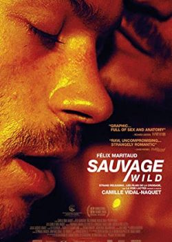 Poster Phim Hoang Dã (Sauvage / Wild)