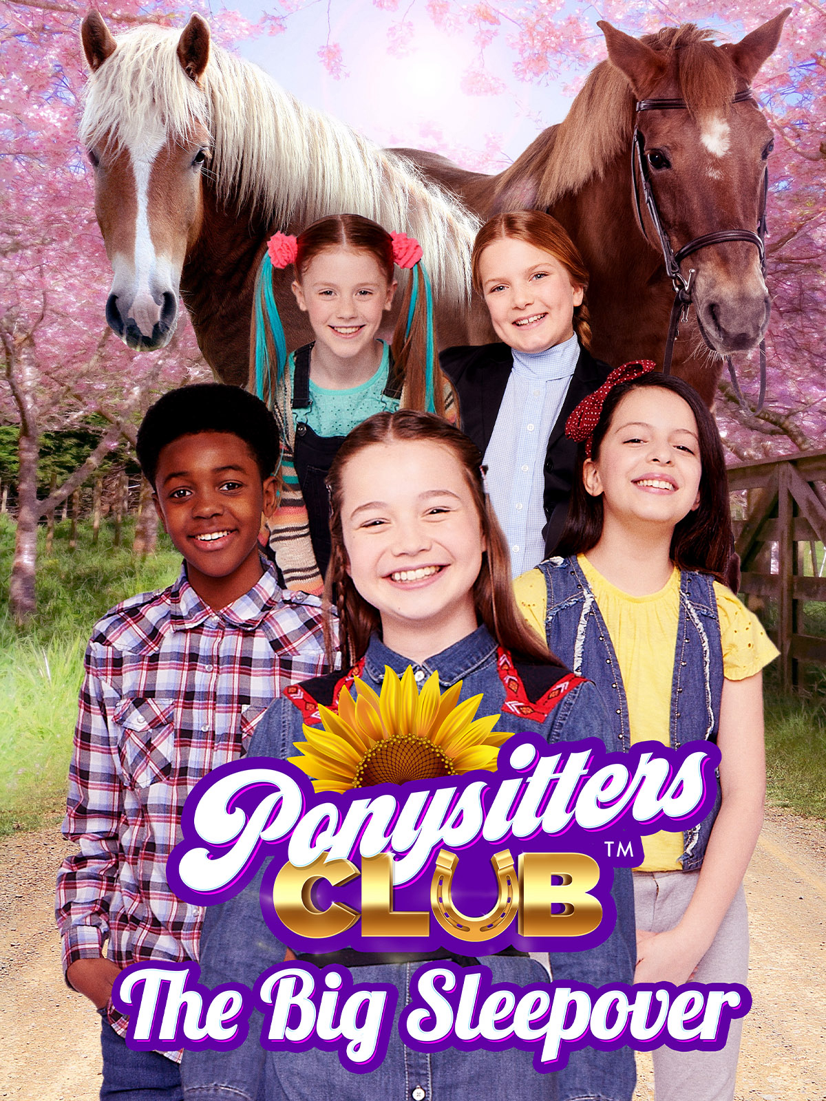 Poster Phim Hội chăm sóc ngựa (Phần 2) (Ponysitters Club (Season 2))