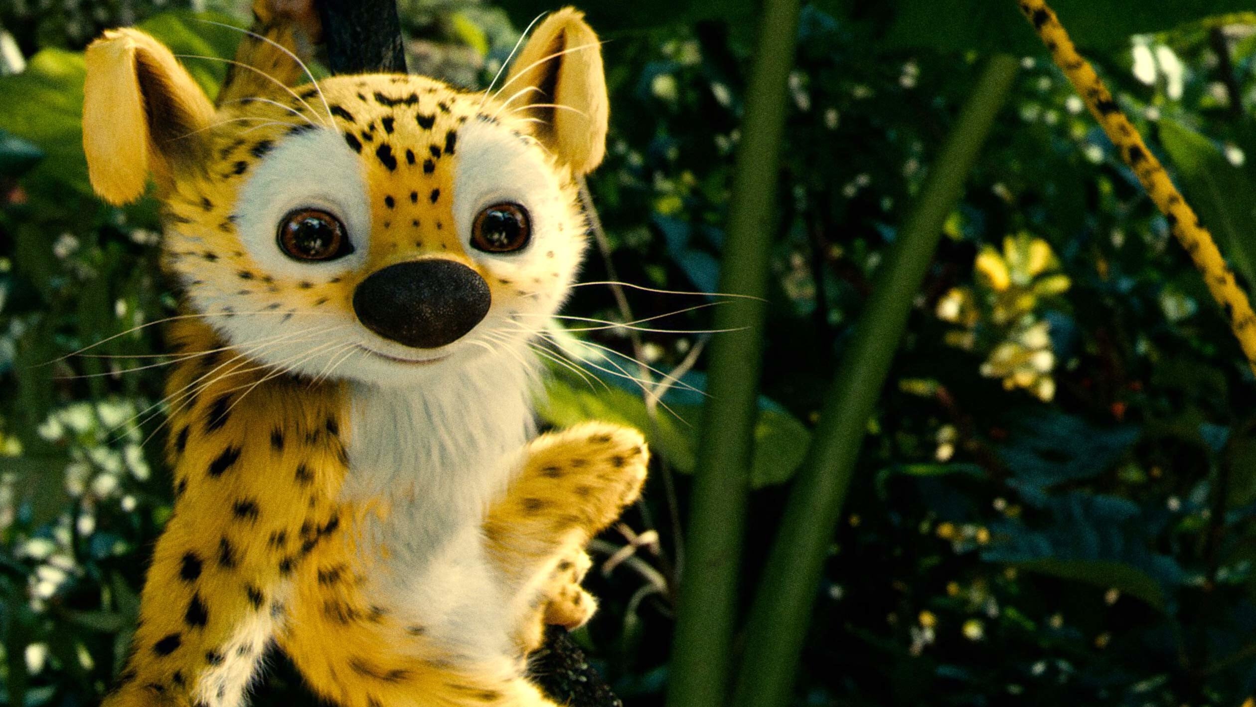 Xem Phim HOUBA! On the Trail of the Marsupilami (HOUBA! On the Trail of the Marsupilami)