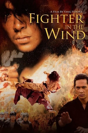 Poster Phim Huyền thoại võ sĩ (Fighter in the Wind)