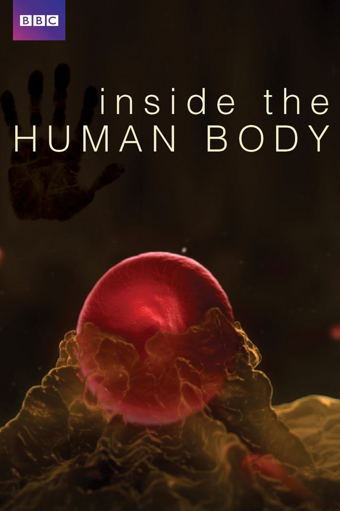 Poster Phim Inside the Human Body (Inside the Human Body)