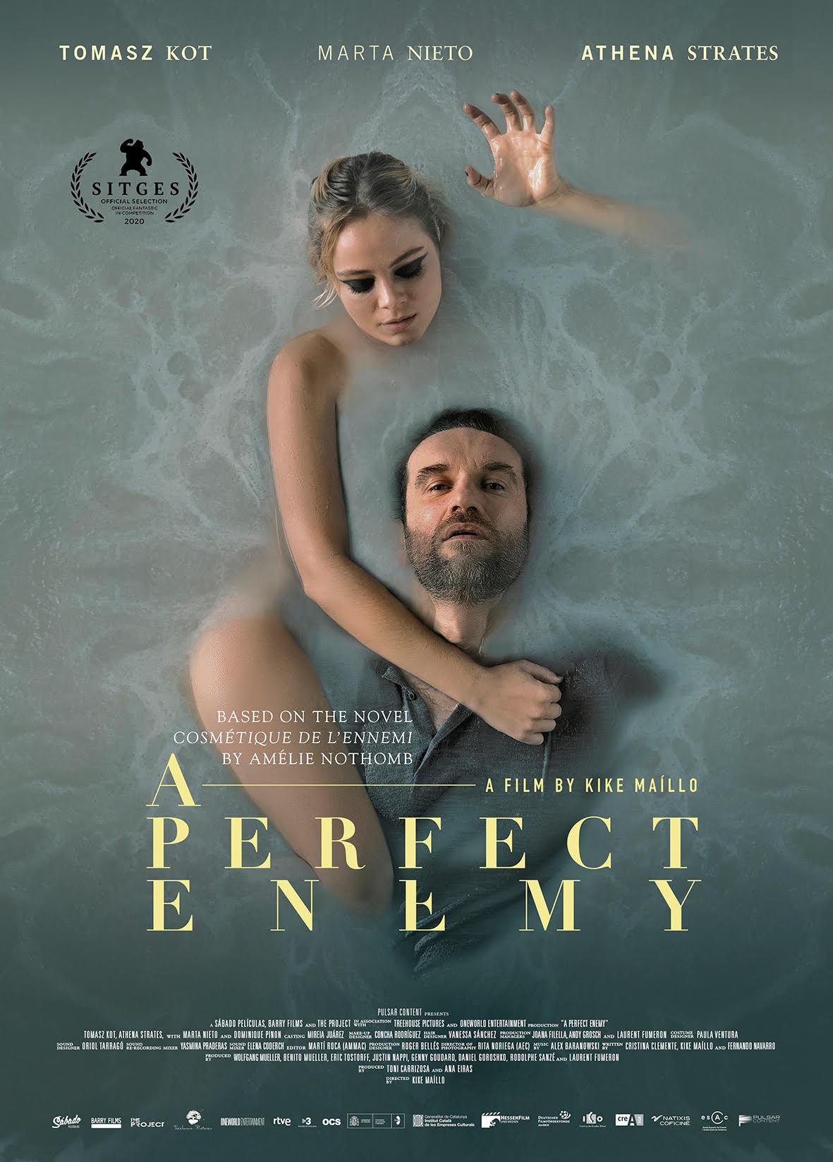 Poster Phim Kẻ Thù Hoàn Hảo (A Perfect Enemy)
