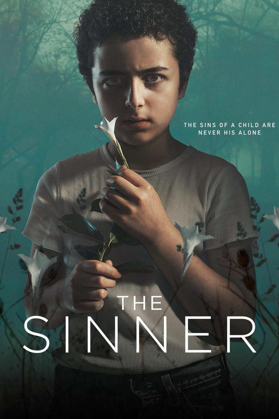 Poster Phim Kẻ tội đồ (Phần 1) (The Sinner (Season 1))