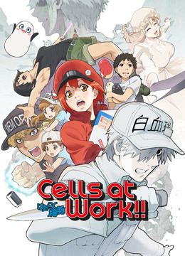 Xem Phim Khi Các Tế Bào Làm Việc (Phần 2) (Cells at Work! S2)