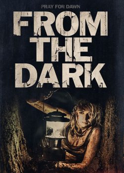 Poster Phim Khi Màn Đêm Xuống (From the Dark)