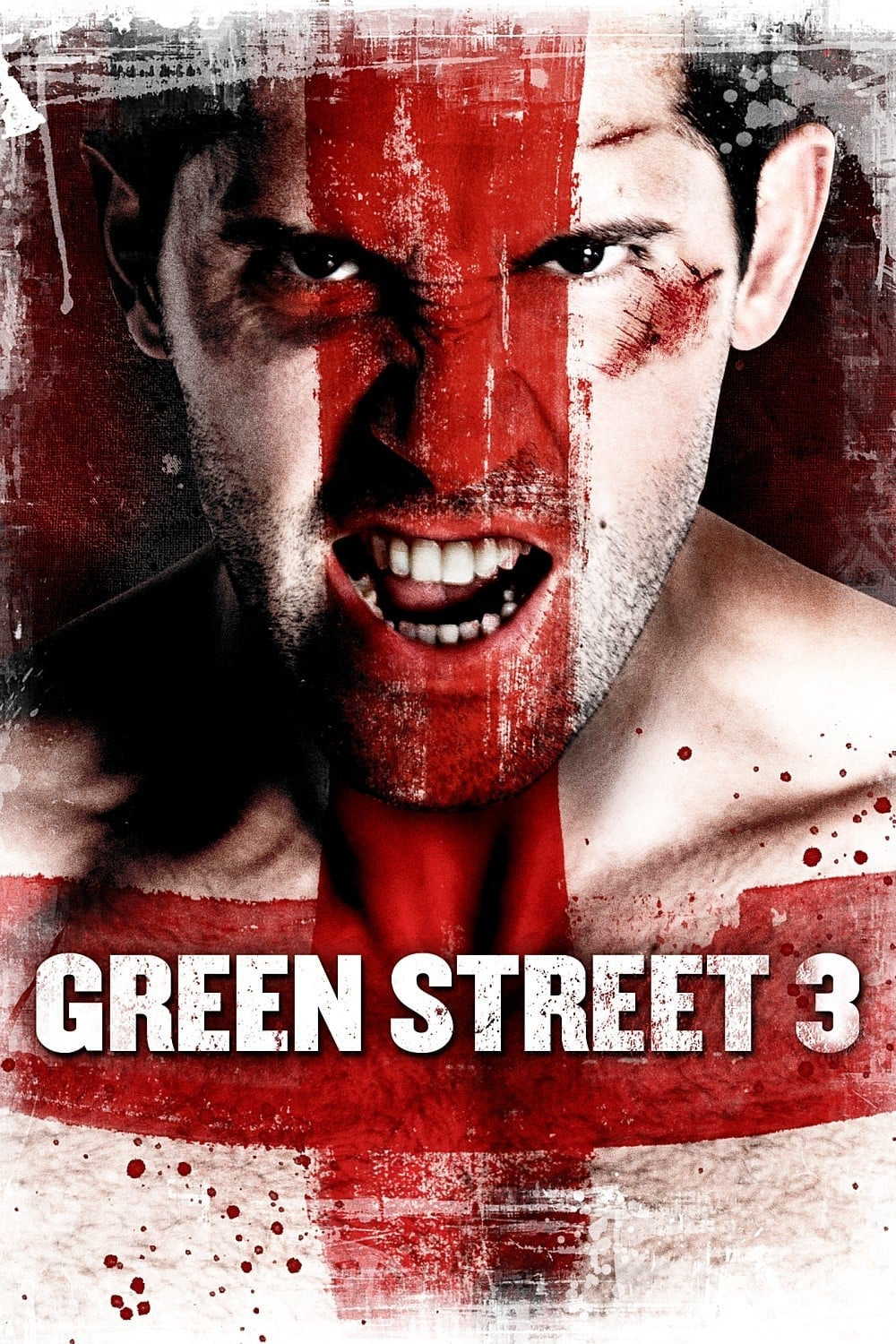 Poster Phim Không Chùn Bước 3 (Green Street 3: Never Back Down)