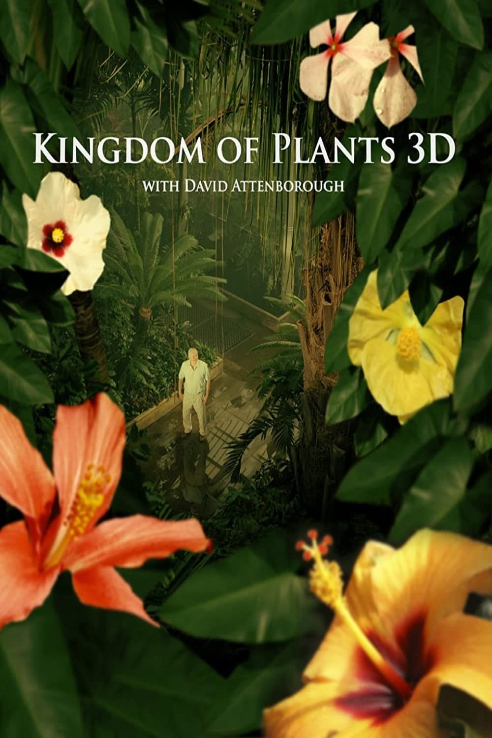 Poster Phim Kingdom of Plants (Kingdom of Plants)