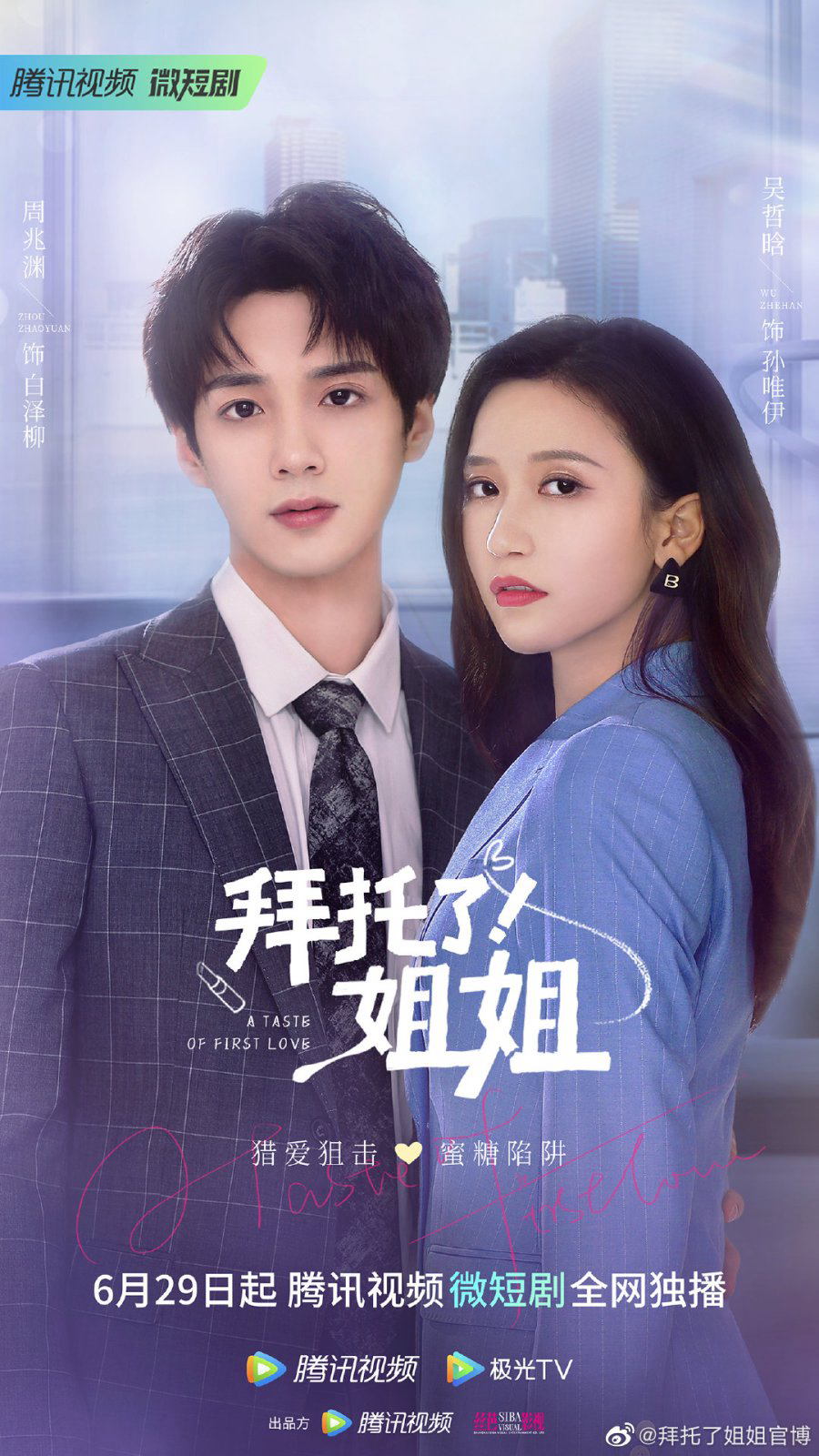 Poster Phim Làm Ơn Đi Chị (A Taste Of First Love)