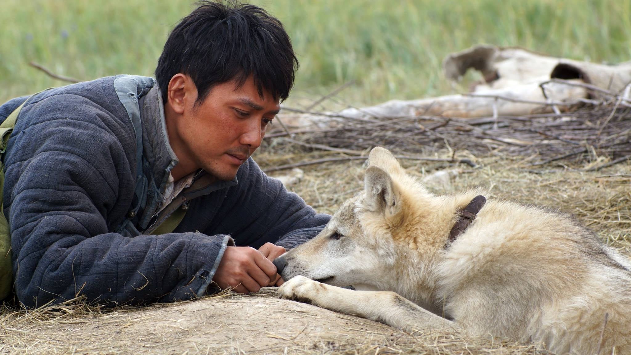 Poster Phim Lang Đồ Đằng (Wolf Totem)