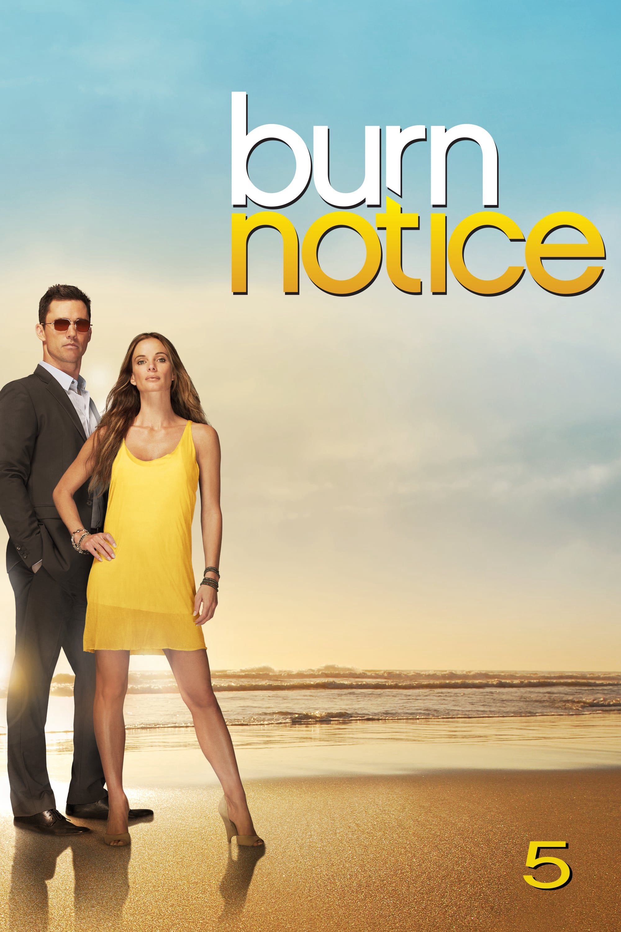 Poster Phim Lệnh Thanh Trừng (Phần 5) (Burn Notice (Season 5))