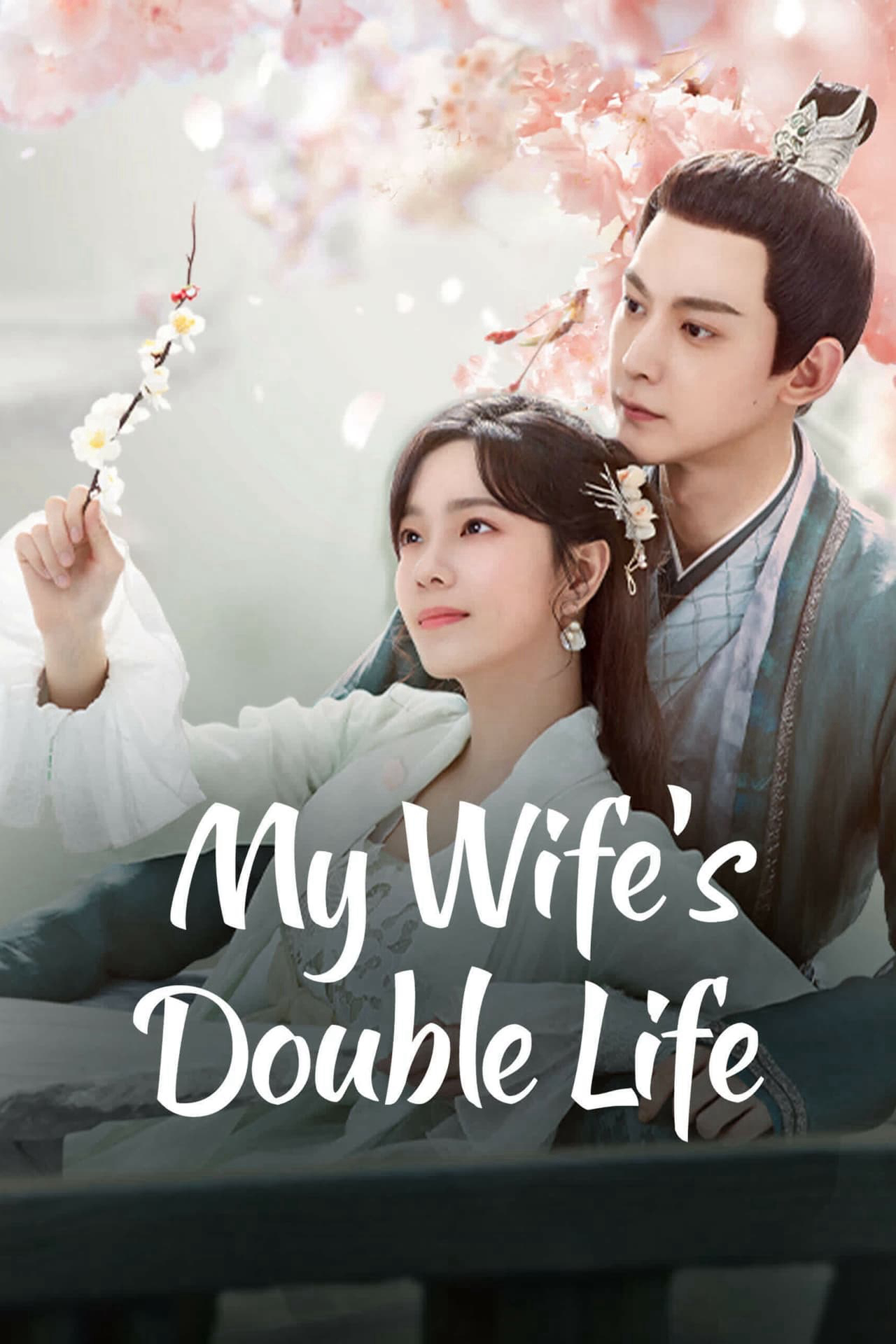 Poster Phim Liễu Diệp Trích Tinh Thần (My Wife's Double Life)