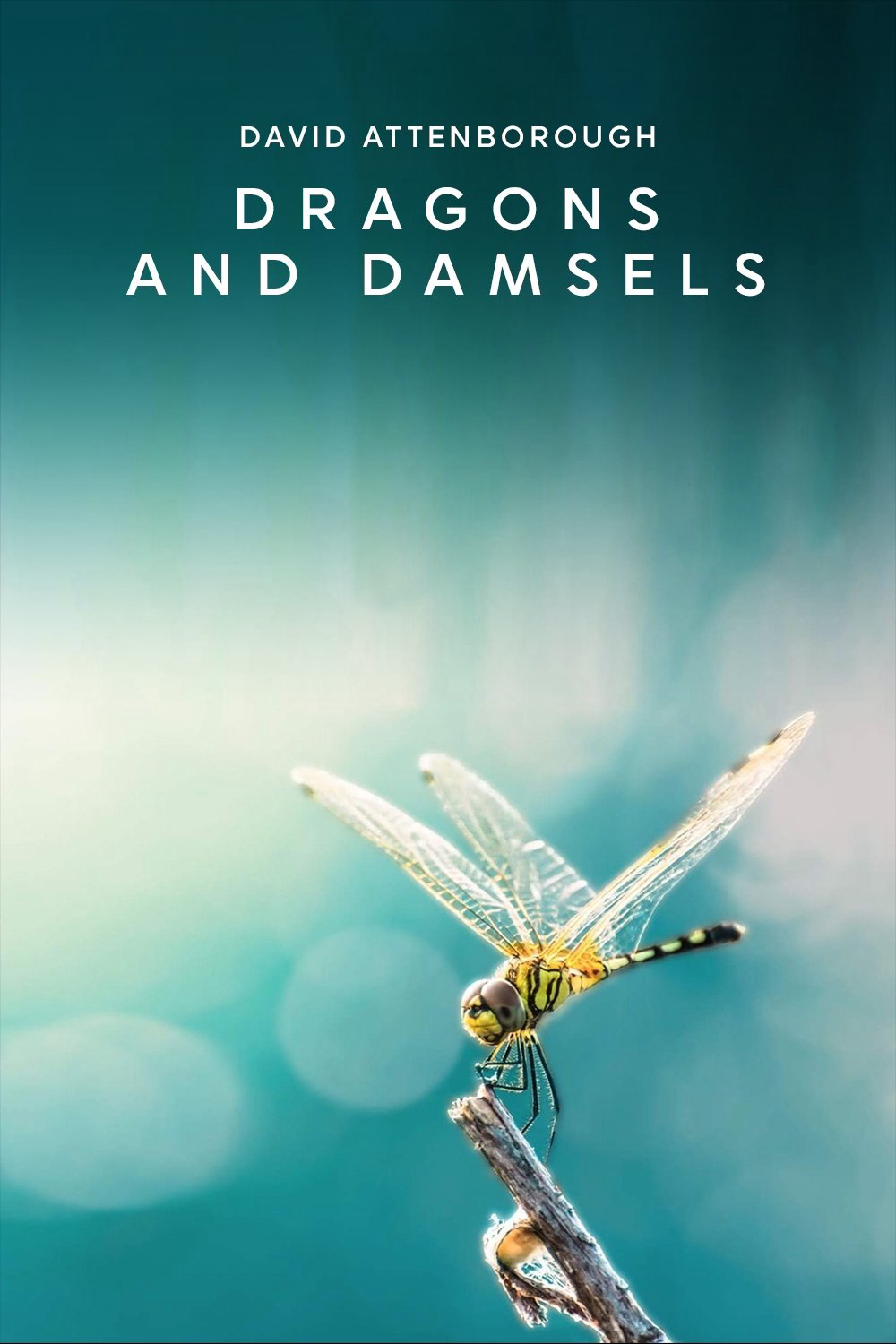 Poster Phim Loài Chuồn Chuồn (Dragons and Damsels)