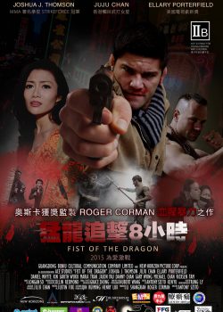 Poster Phim Long Quyền (Fist Of The Dragon)