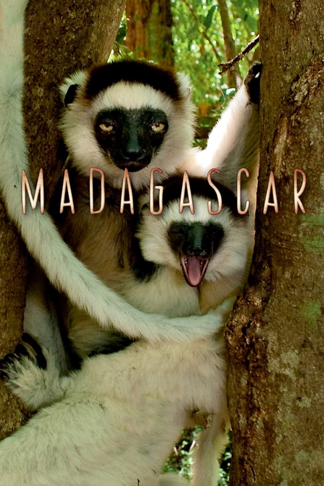 Poster Phim Madagascar 2011 (Madagascar)