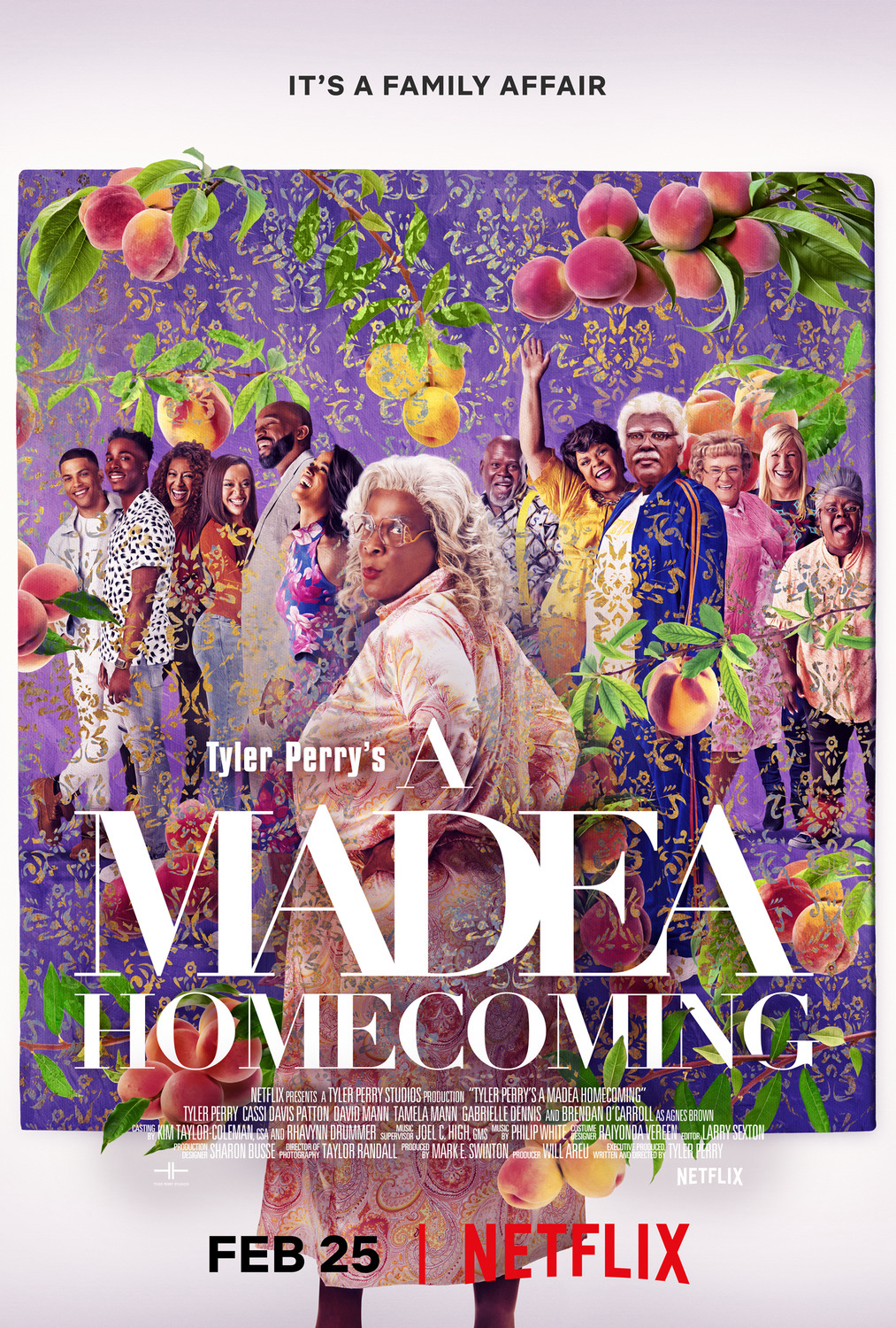 Poster Phim Madea trở về nhà (A Madea Homecoming)