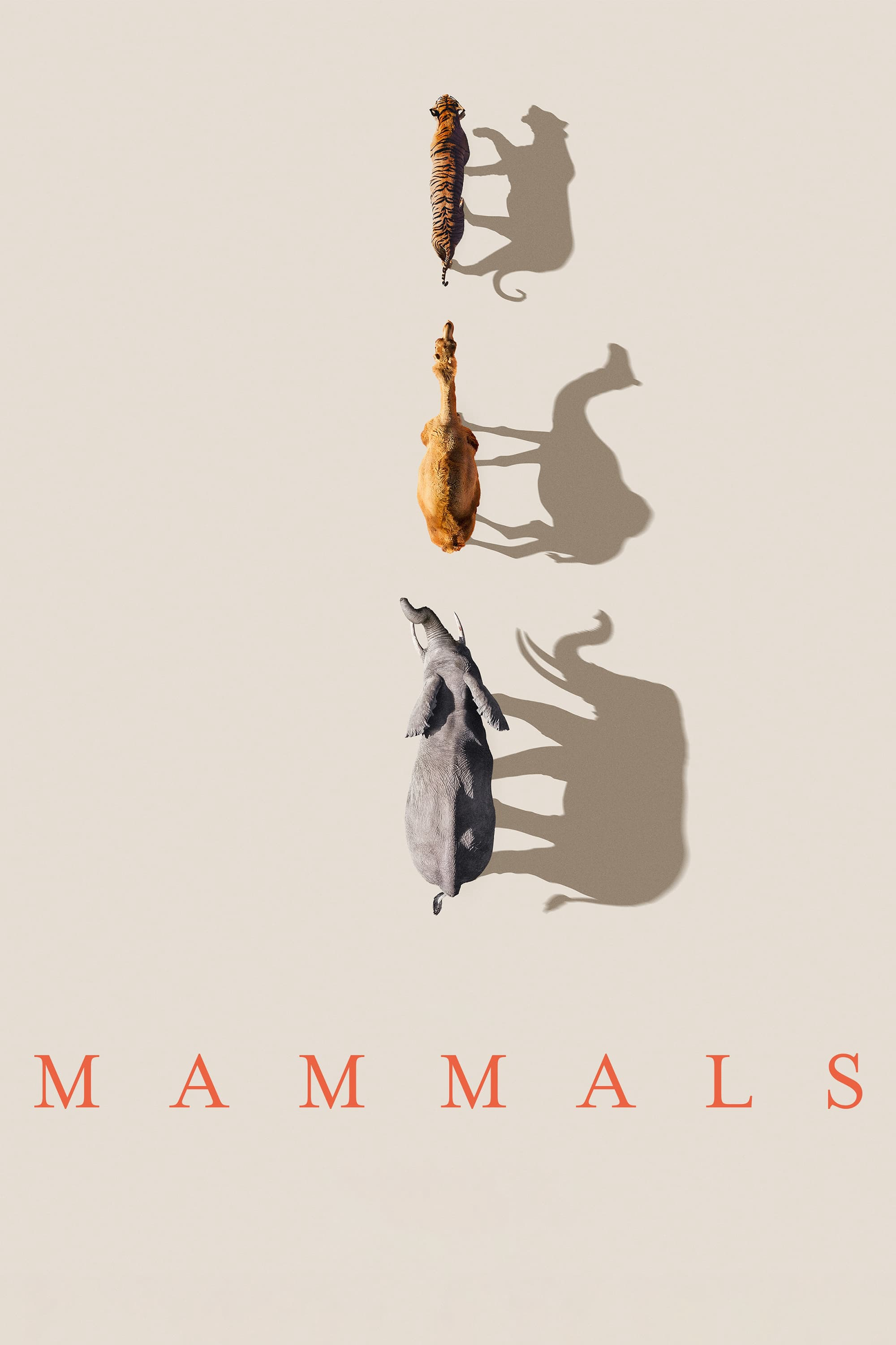 Xem Phim Mammals (2024) (Mammals)