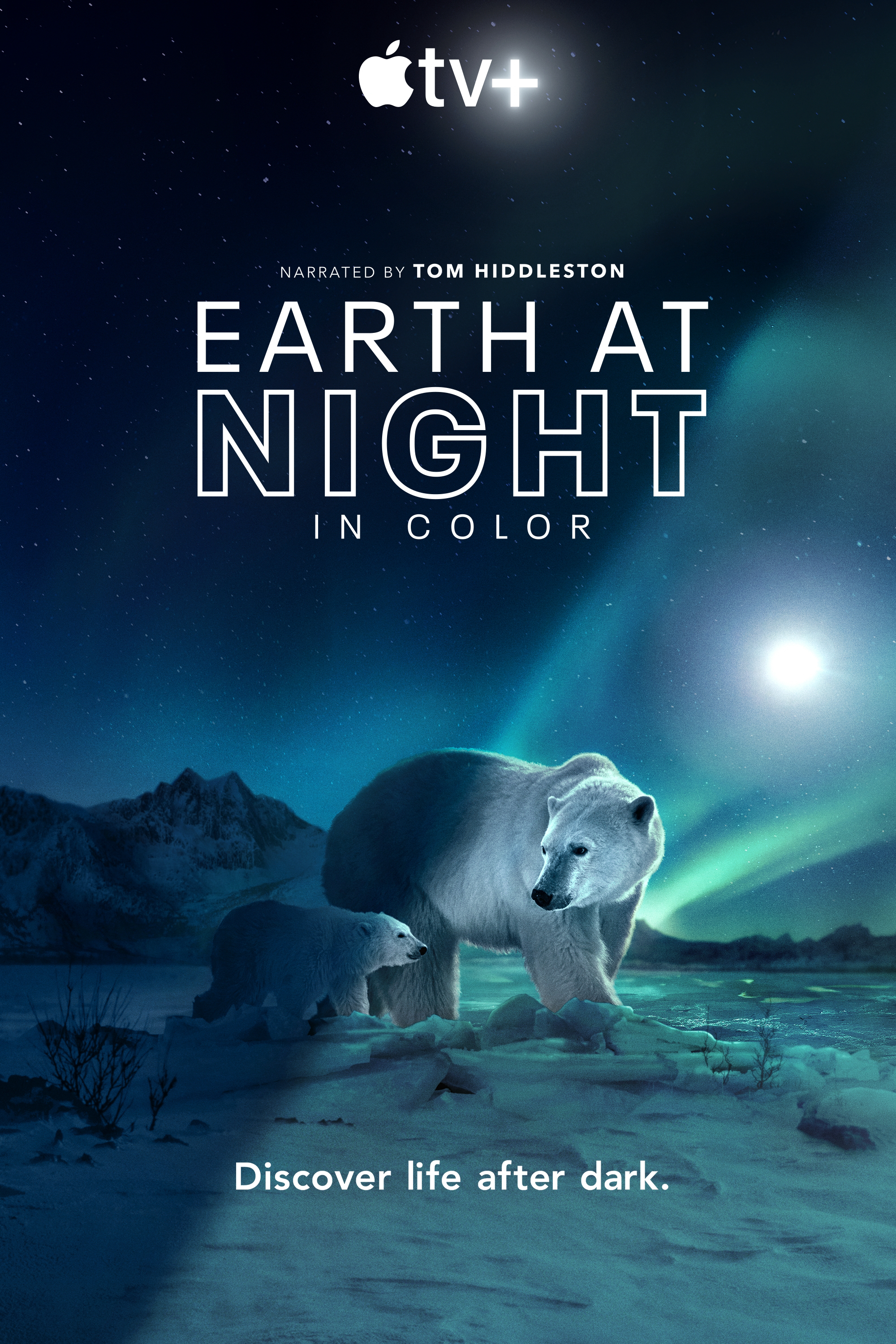 Poster Phim Màn đêm trên Trái Đất: Thước phim trong bóng tối (Night on Earth: Shot in the Dark)
