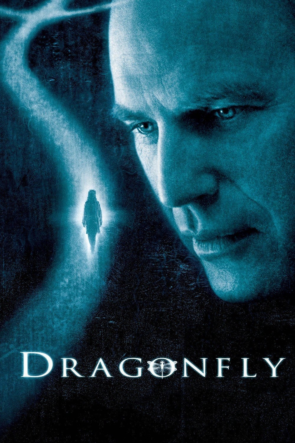 Poster Phim Mật Hiệu Chuồn Chuồn (Dragonfly)