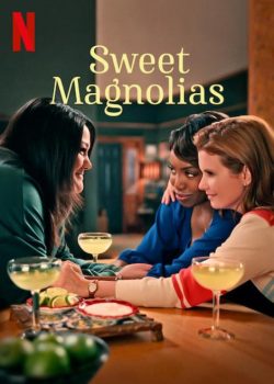 Poster Phim Mộc Lan Ngọt Ngào Phần 1 (Sweet Magnolias Season 1)