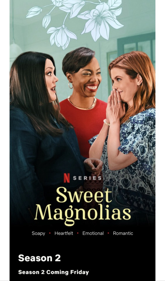 Poster Phim Mộc lan ngọt ngào (Phần 2) (Sweet Magnolias (Season 2))