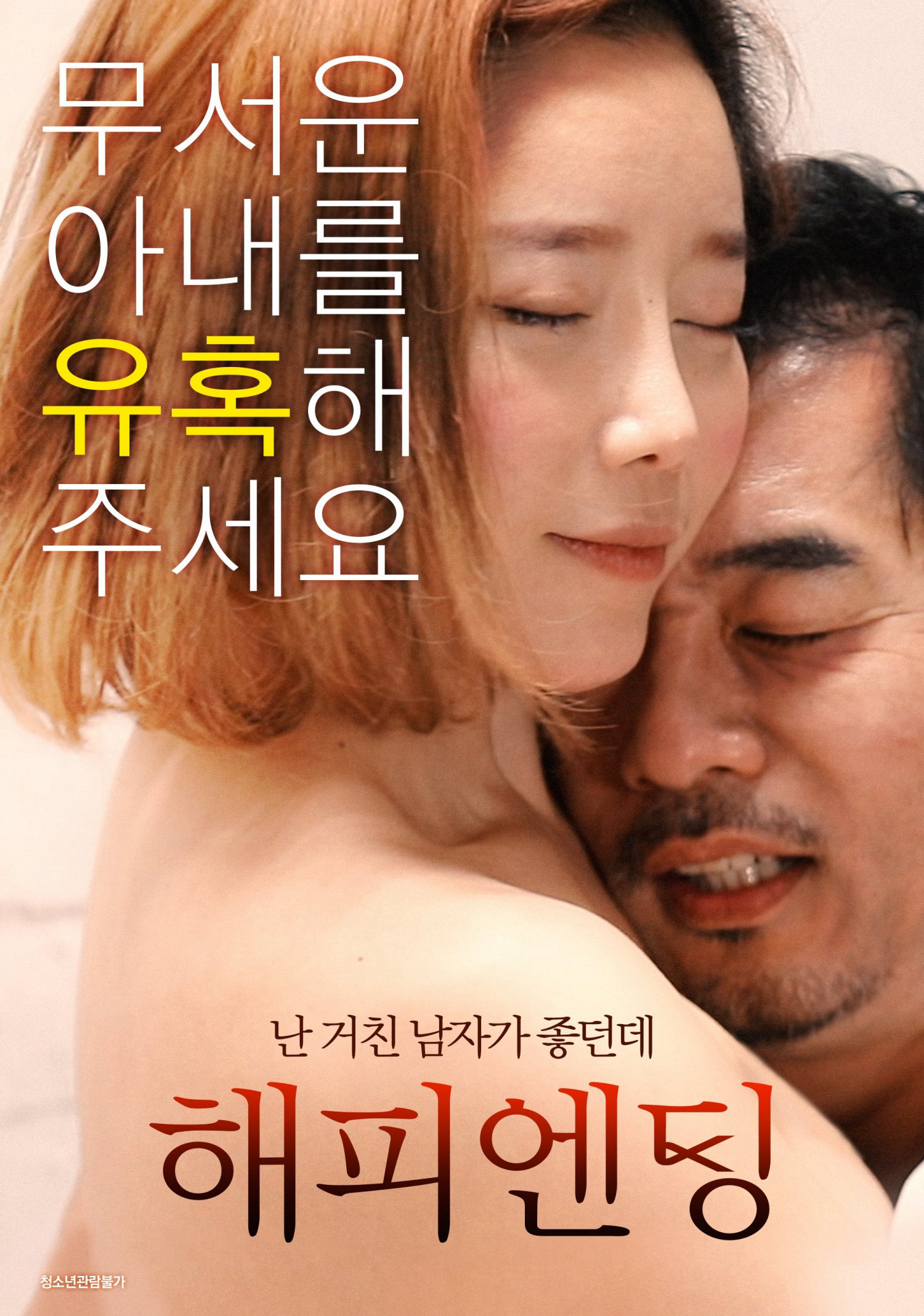 Poster Phim Mối Tinh Lãng Mạng (Happy Ending)