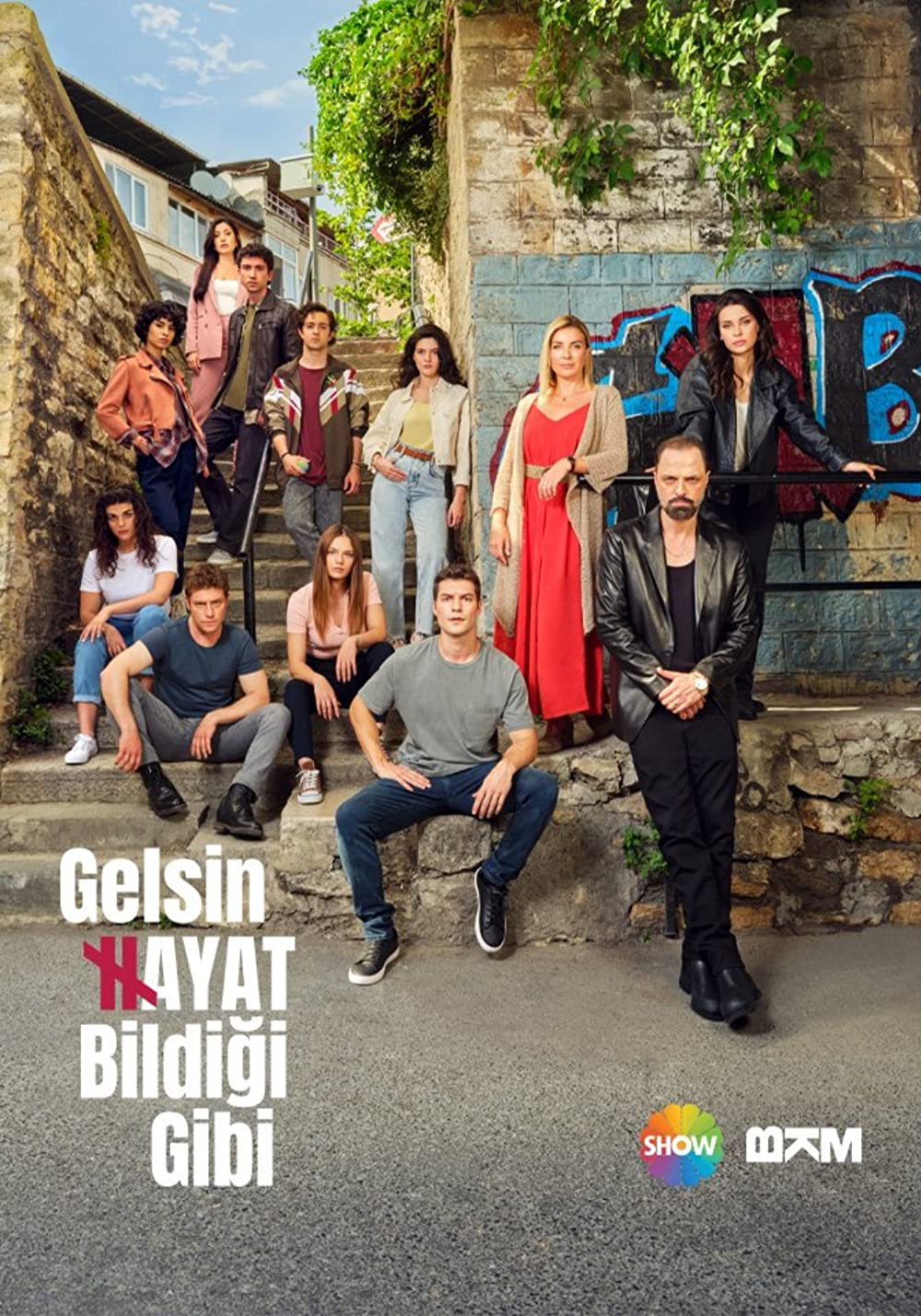 Poster Phim Một Cơ Hội Khác (Gelsin Hayat Bildigi Gibi (Another Chance))