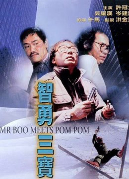 Poster Phim Mr Boo gặp Pom Pom (Mr Boo Meets Pom Pom)