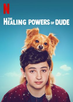 Poster Phim Năng Lực Chữa Bệnh Của Dude Phần 1 (The Healing Powers of Dude Season 1)
