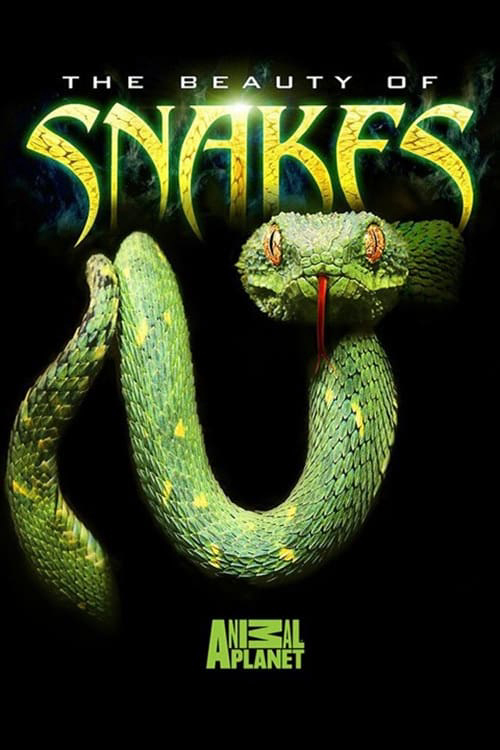 Xem Phim Nét đẹp của loài rắn (The Beauty of Snakes)