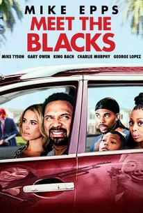 Poster Phim Ngày Thanh Trừng (Meet the Blacks)