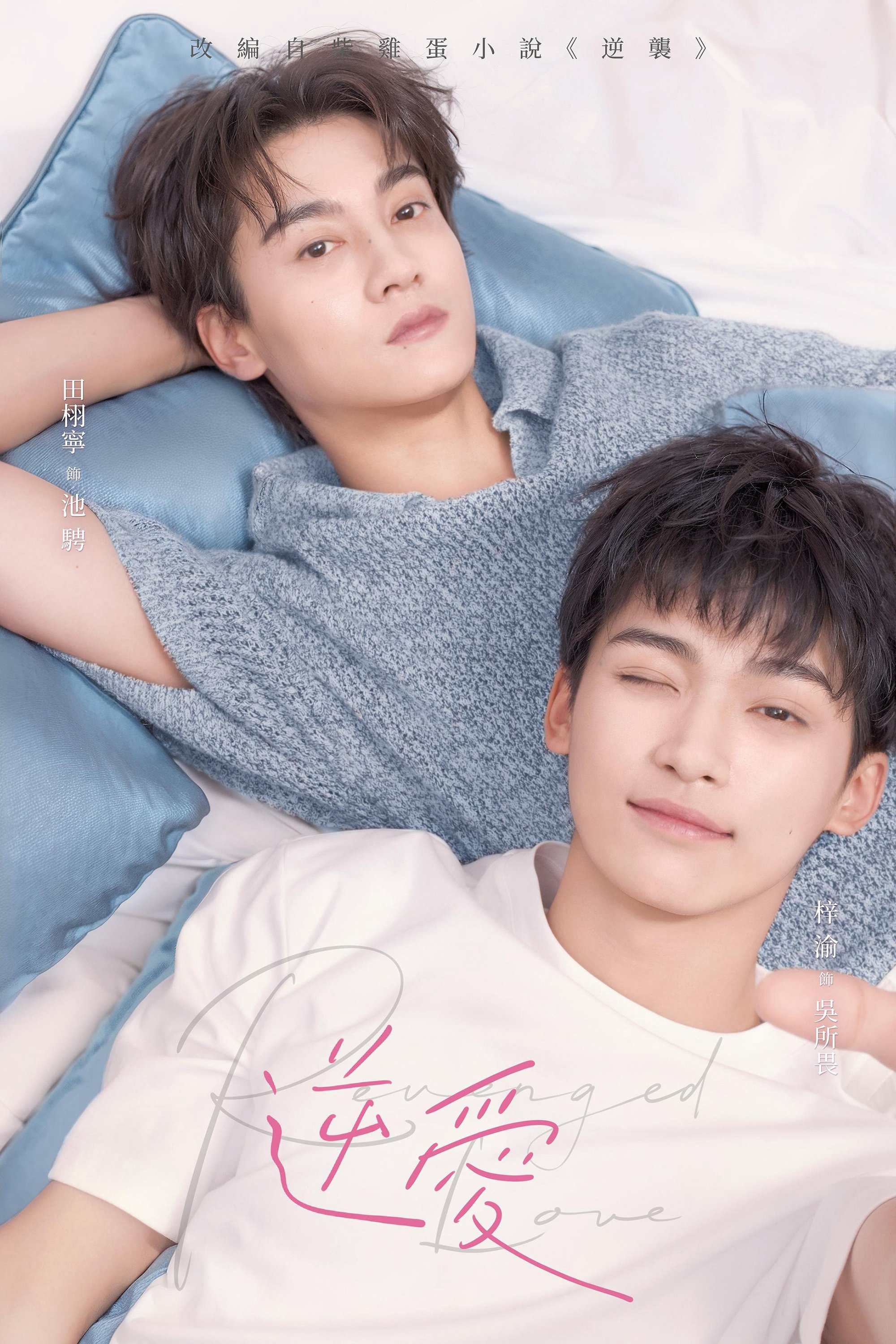 Poster Phim Nghịch Tập (Revenged Love)