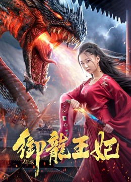 Poster Phim Ngự Long Vương Phi (Female Assasin)