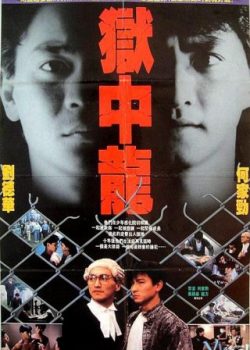 Poster Phim Ngục Tù Mãnh Long (Dragon In Jail)