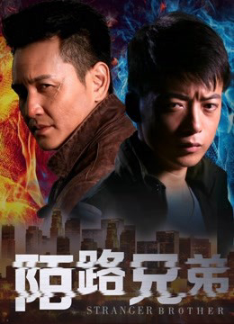 Poster Phim Người anh em xa lạ (Stranger Brothers)