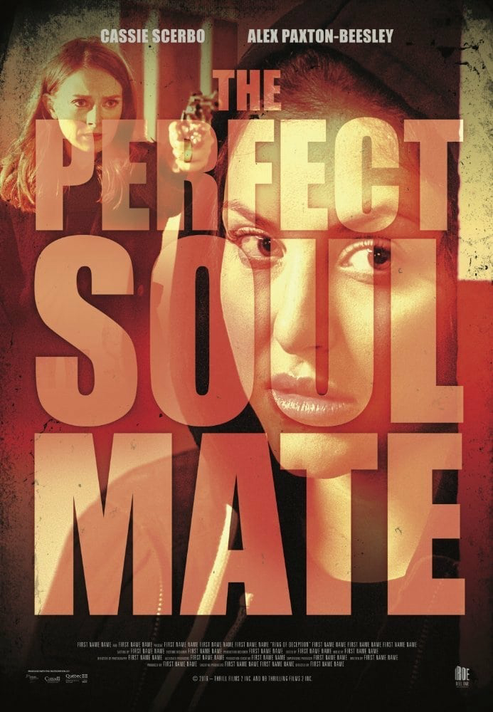 Poster Phim Người Bạn Tâm Giao (The Perfect Soulmate)